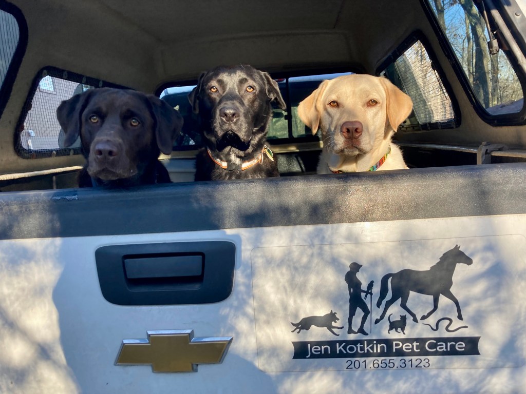 Have you checked out updates&nbsp;lately?